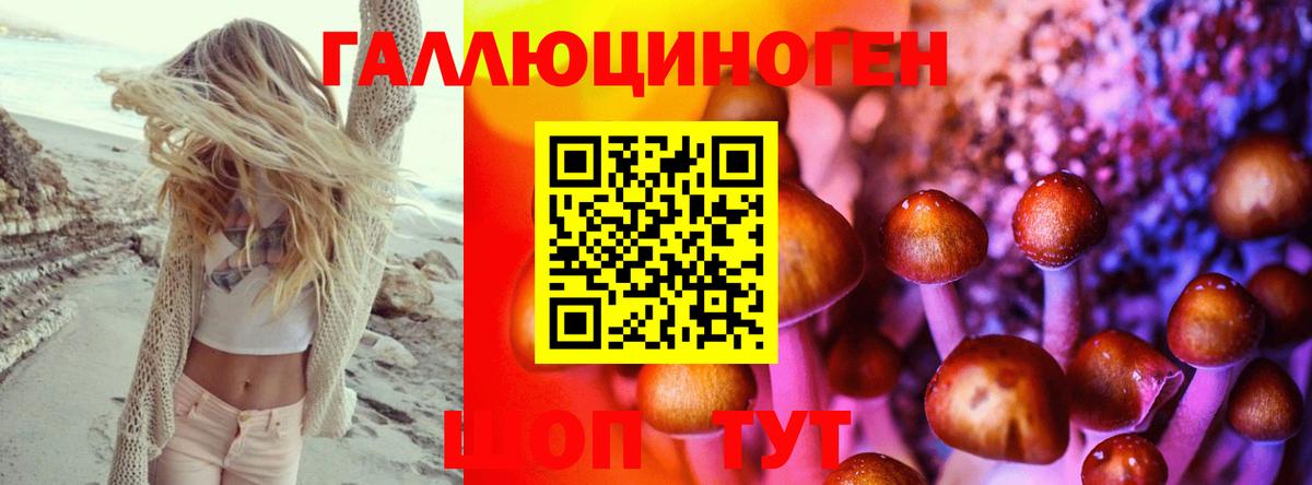 Галлюциногенные грибы Psilocybe  Вход с VPN  Тихорецк  Псилоцибиновые грибы Psilocybine cubensis 